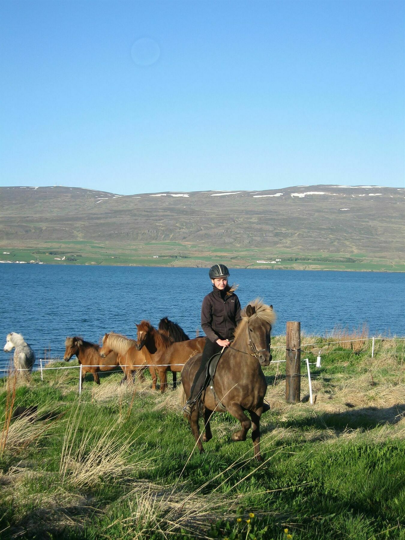 Skjaldarvik Guesthouse Akureyri Luaran gambar